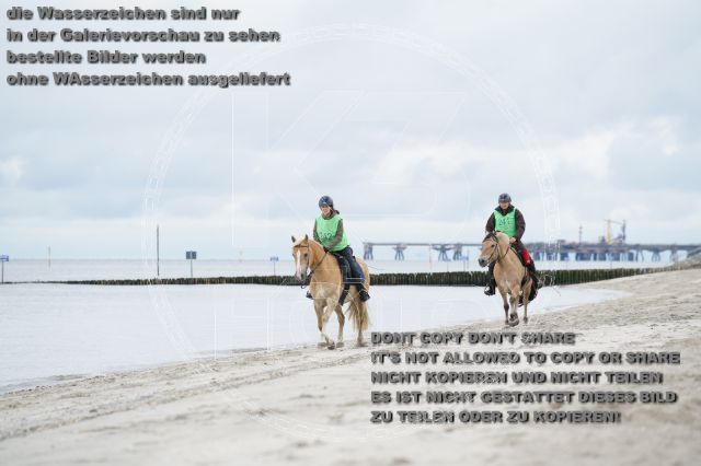 s_K3F04760.JPG